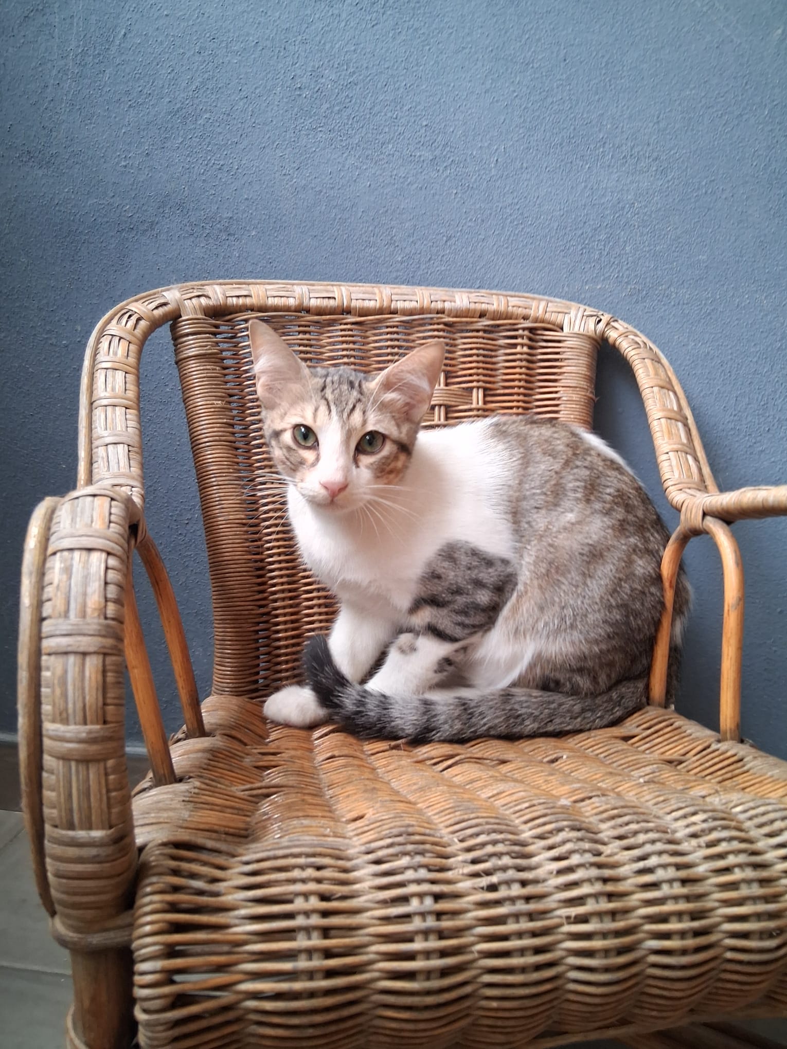 Foto de Ash